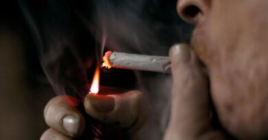 Campanha da OMS alerta sobre malefícios do tabaco ao meio ambiente