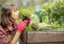 Dicas essenciais para criar um jardim sustentável
