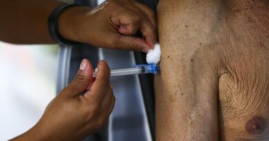 Registro de vacina contra bronquite é aprovado pela Anvisa