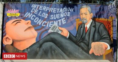 Freud: o desconhecido fascínio do pai da psicanálise pela América Latina