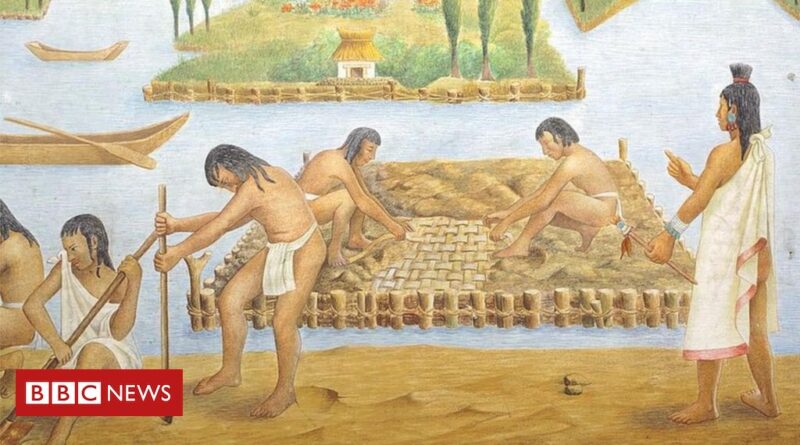 Felicidade: as lições dos astecas e sua filosofia da 'vida digna de ser vivida'
