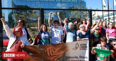 Aborto legal no Brasil: como Conselho Federal de Medicina se tornou pivô dos embates sobre procedimento