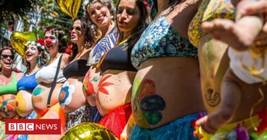 Carnaval e gravidez: o curioso efeito do feriado no aumento de partos naturais
