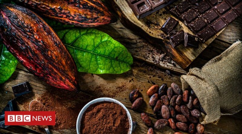 Chocolate: os benefícios do cacau para a saúde e o envelhecimento, segundo a ciência