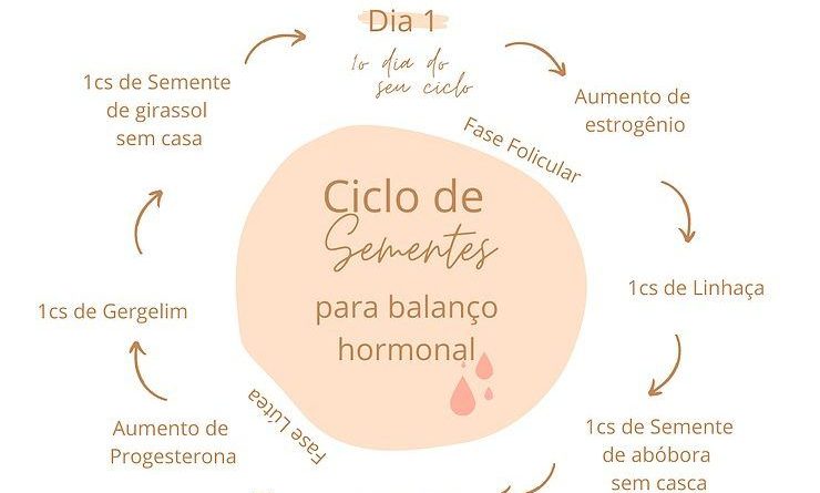 O alcance do equilíbrio hormonal e ciclo saudável com o Ciclo de Sementes