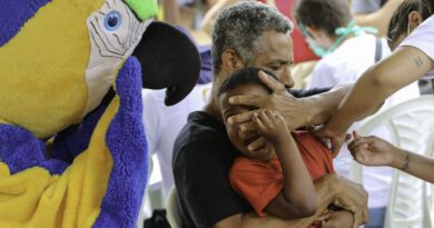 Animais "ajudam" na vacinação de crianças no zoológico de Brasília