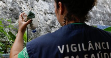 Capital paulista descarta dengue em 15 mortes investigadas neste ano