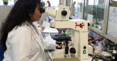 Prêmio chama atenção para desafios enfrentados por mulheres cientistas