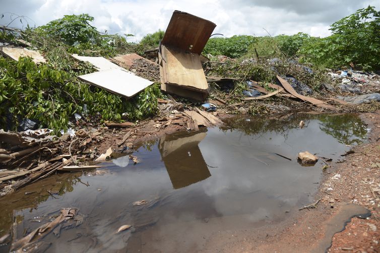 Brasília - O governo do Distrito Federal realiza, no Gama, uma campanha de combate ao Aedes aegypti (José Cruz/Agência Brasil)