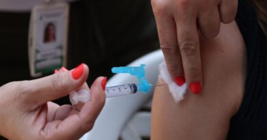 Ministério da Saúde incorpora vacina contra a dengue no SUS