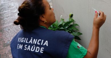 Estado de São Paulo tem sete mortes por dengue em 2024