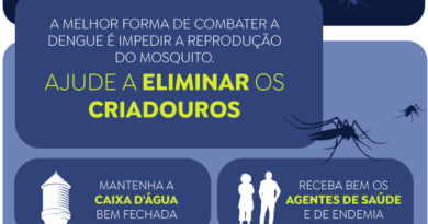 Casos prováveis de dengue se aproximam de 400 mil no país em 2024