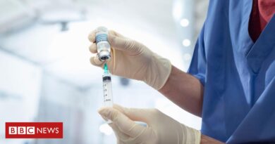 Dengue: quanto nova vacina Qdenga protege, quem pode tomar, como foi aprovada, como será vacinação