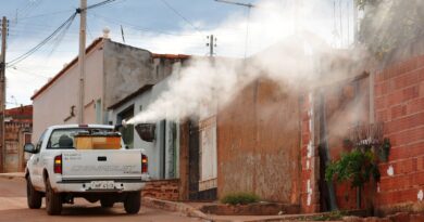 Ivermectina não é eficaz contra dengue, alerta Ministério da Saúde