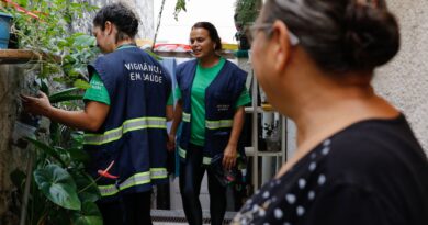 Em um mês, casos de dengue dobram em São Paulo