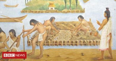 Felicidade: as lições dos astecas e sua filosofia da 'vida digna de ser vivida'