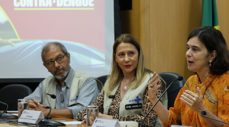 Juntas, dengue e gripe podem pressionar sistema de saúde, diz ministra