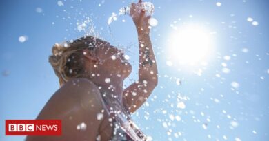 Onda de calor: o que acontece com o corpo sob temperaturas extremas