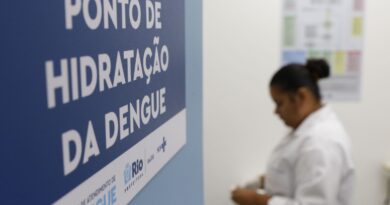 Sobe para 14 número de mortos por dengue no estado do Rio