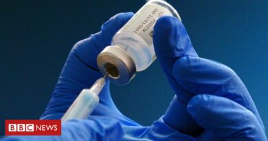 Vacina contra covid: o paciente alemão que tomou 217 doses — contra recomendação médica