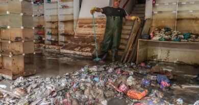 Nísia Trindade nega colapso da saúde no Rio Grande do Sul