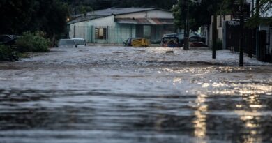 Rio Grande do Sul investiga mais de 800 casos de leptospirose