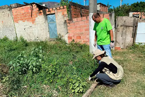 Rio de Janeiro (RJ) 01/07/2024 -Fiocruz alerta para meningite transmitida por caramujo.
Profissionais do IOC Fiocruz e da Suvam Nova Iguaçu em atividade de campo para coleta de caramujos no bairro Ipiranga.
Foto: Fiocruz/Divulgação