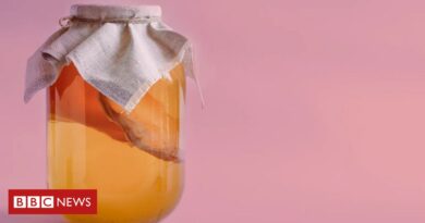 Alimentos fermentados, como kefir, kombucha e iogurte, fazem bem à saúde?