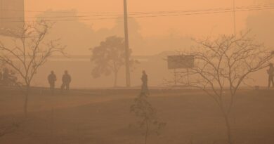 Especialista do Inca alerta para risco da fumaça das queimadas à saúde