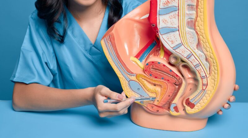 Cirurgia de Bexiga Baixa: Guia Completo Sobre o Procedimento e Recuperação