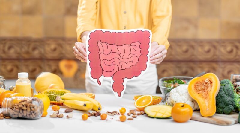 Qual a Melhor Alimentação para a Saúde Intestinal?