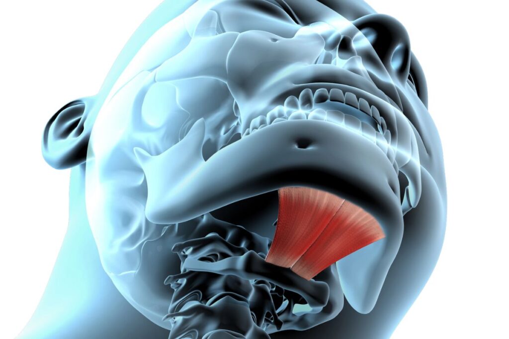 Depositphotos_474520368_L